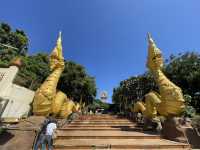 วัดหลวง : อุบลราชธานี