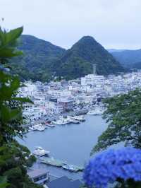 日本紫陽花節：300百萬球花海好震撼！