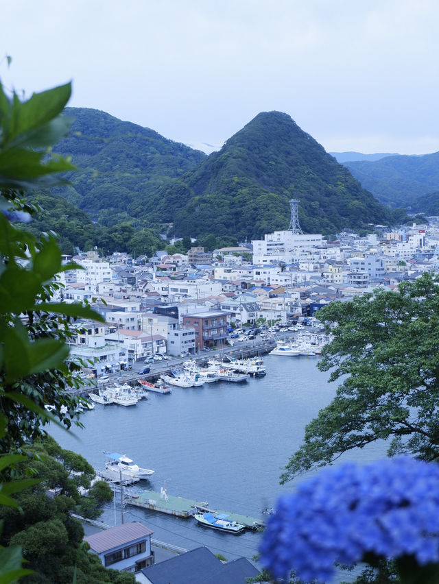 日本紫陽花節：300百萬球花海好震撼！