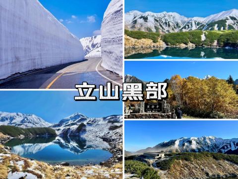 立山黒部 - 氷雪トンネルを歩き、日本アルプスの美しい雪景色を楽しみ