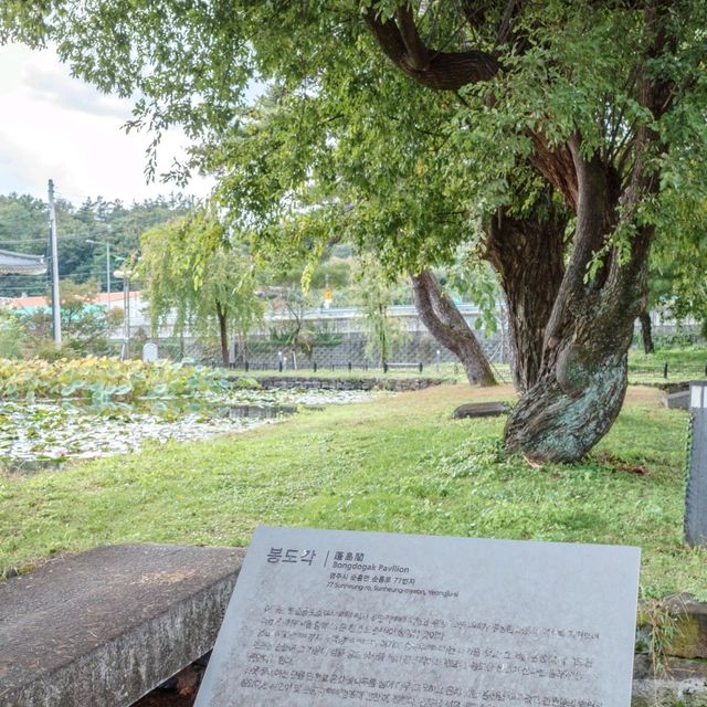 가을바람 느끼며 즐기는 특별한 야외데이트