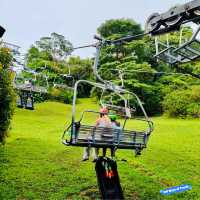Thrill Seeker's Paradise: Skyline Luge Singapore