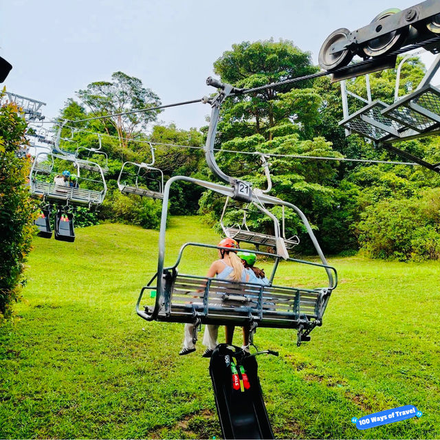 Thrill Seeker's Paradise: Skyline Luge Singapore