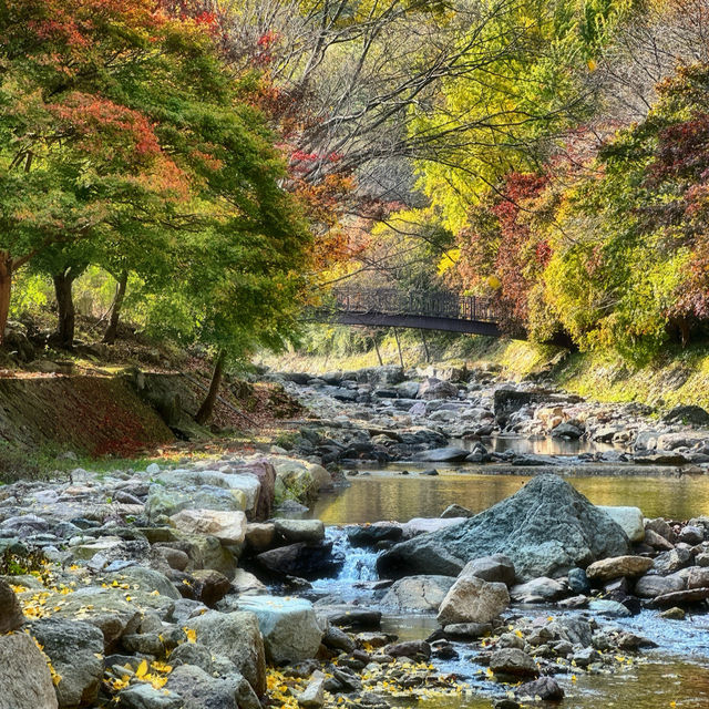 단풍으로 물들어 자연경관이 아름다운 순창의 카페🍁