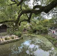 Nature’s Beauty and History: My Stunning Visit to Dazaifu Tenmangu!