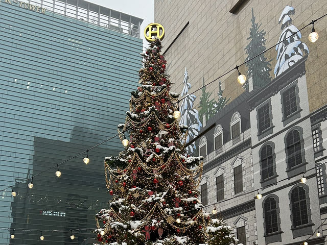 【韓国・カンナム】韓国のクリスマスイルミネーション