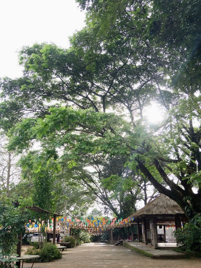 น้ำตกที่มีรางวัลการันตี 🌳 คู่กับน้ำตกกวางสี