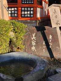 【京都観光】京都の守り神「八坂神社」⛩️