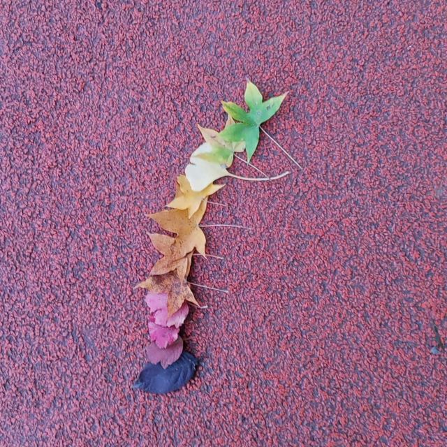 Catching the tail of autumn