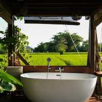 “Breathe Rice Valley”