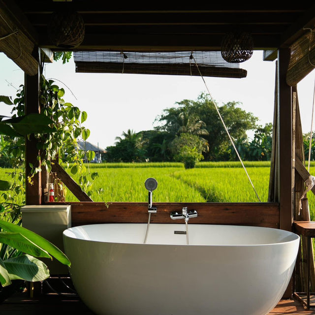 “Breathe Rice Valley”