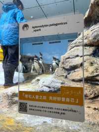XPark Aquarium ใกล้สนามบินเถาหยวน ไต้หวัน