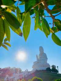 Wat Huay Pla Kang: Home of the Majestic Dragons and Panoramic Views