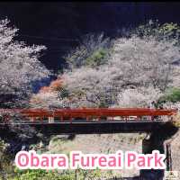 Obara Fureai Park
