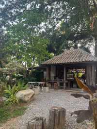 🔵 Hani creativespace ꕀ .* คาเฟ่สุดน่ารักในน่าน