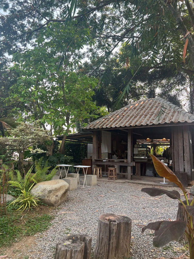🔵 Hani creativespace ꕀ .* คาเฟ่สุดน่ารักในน่าน