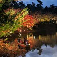 弘前城渡船賞夜楓，燈火楓紅醉是浪漫