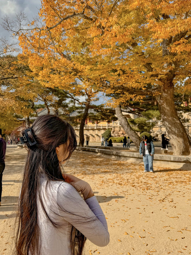 단풍과 역사가 있는 경주의 불국사 