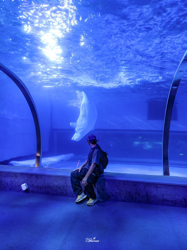 Zhengjia Polar Ocean Worldอควาเรียมสุดอลังกวางโจว