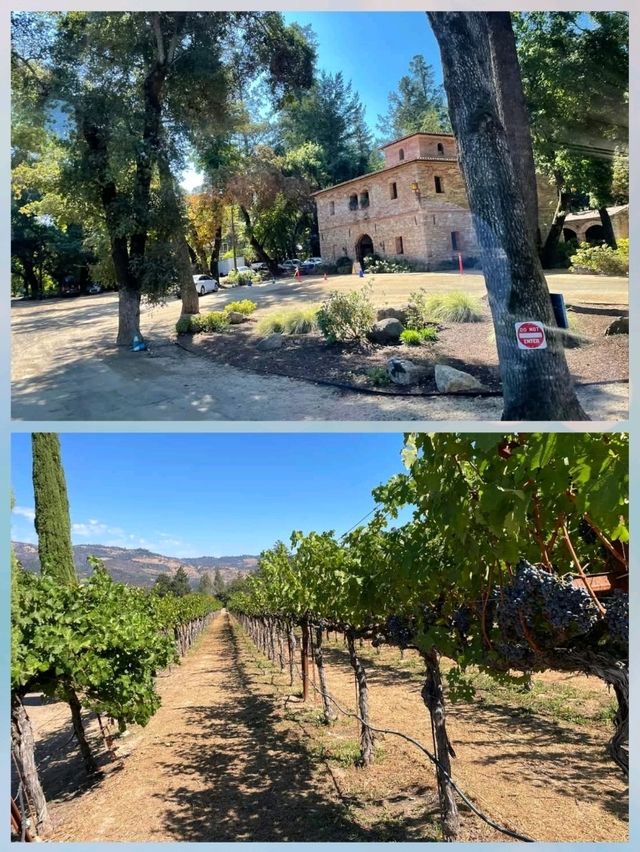 以為在意大利Tuscany,其實在舊金山郊區