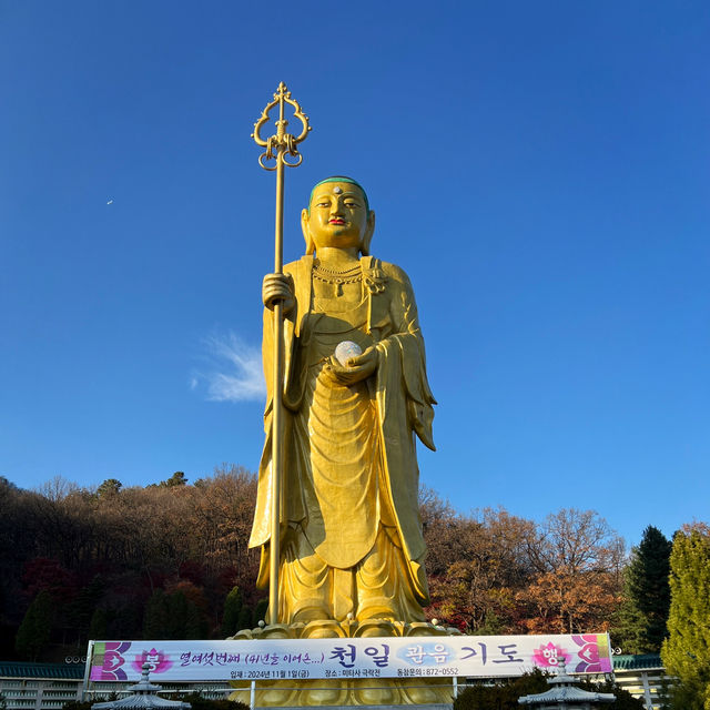 충북 음성 가을 여행 스팟 추천