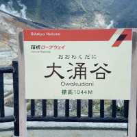 🇯🇵箱根必到景點 大涌谷 旅遊及交通攻略