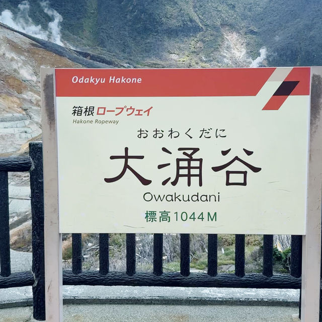 🇯🇵箱根必到景點 大涌谷 旅遊及交通攻略