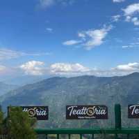 🇮🇳 印度-大吉嶺 Darjeeling Happy Valley