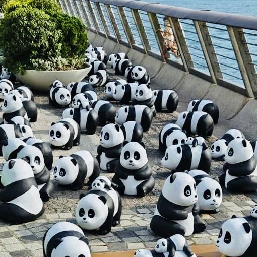 PANDA GO！香港-聖誕必去，逾2000隻大熊貓雕塑萌爆香港