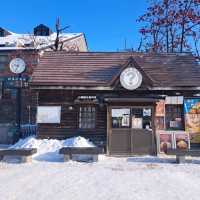 北海道旅遊✈️札幌市🚂小樽運河🏞️小樽運河廣場😍白色戀人公園📸熱門旅遊景點介紹✨