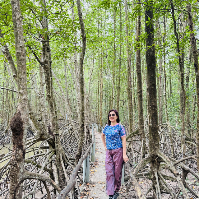 Ca Mau Primeval forest park 