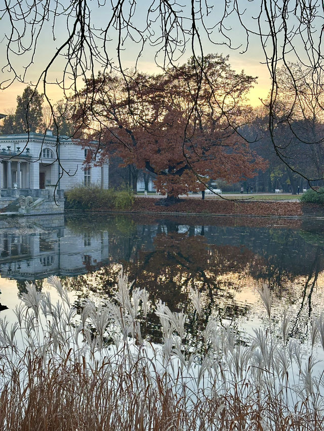 Royal park + autumn foliage + sunset = win