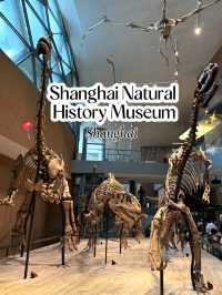 Shanghai Natural History Museum