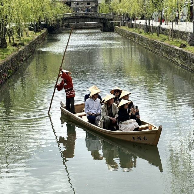 倉敷美觀地區的櫻花之旅