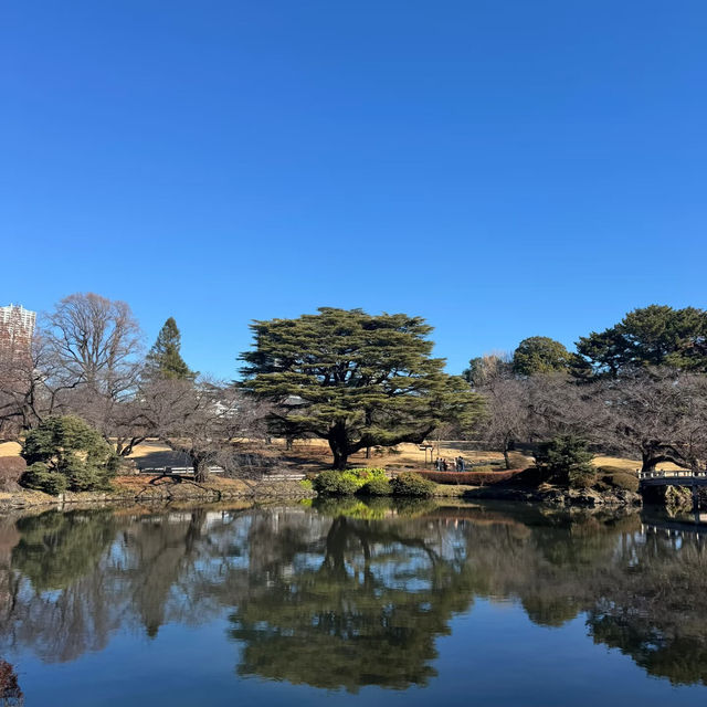 新六月公園：夢幻中的日式園林！🌸