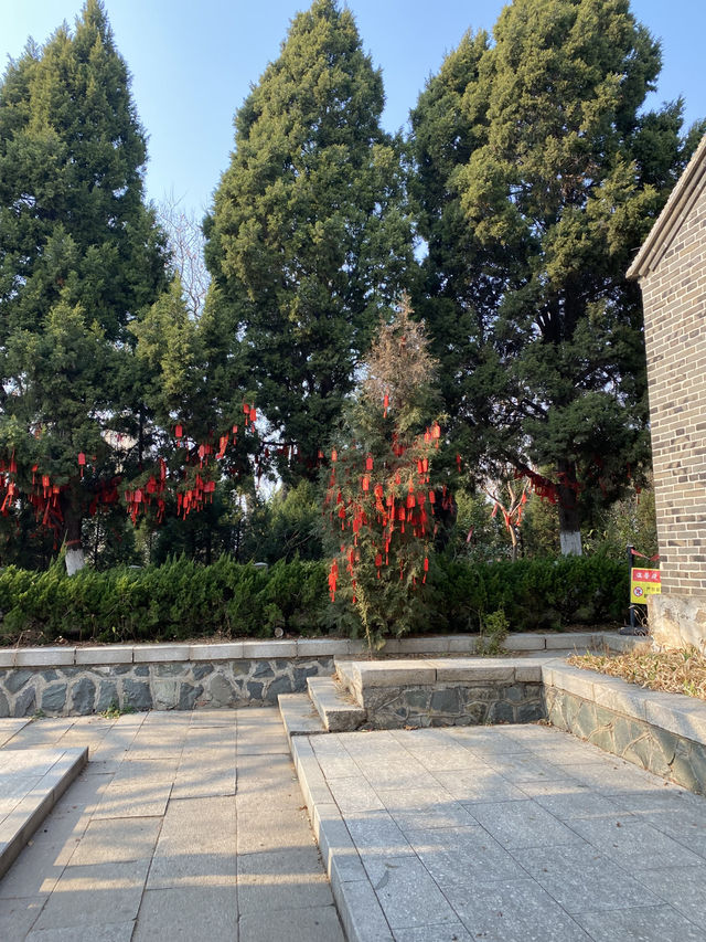 🇨🇳연태_연태산 공원에서 산책 한 번 해보세요 🇨🇳연태_연태산 공원에서 산책 한 번 해보세요