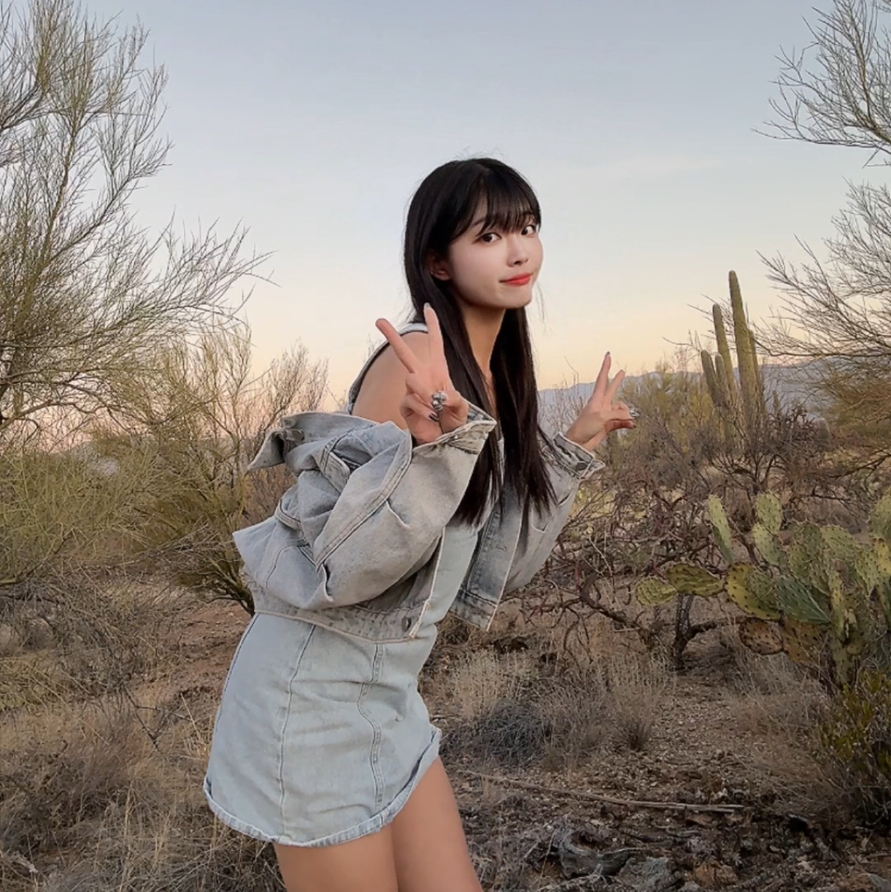 Công viên quốc gia Saguaro, một công viên sa mạc của Mỹ với nhiều cây xương rồng