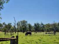 Caversham Wildlife Park