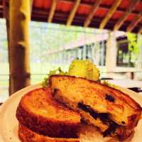 Tranquil Retreat at Pineyard Café