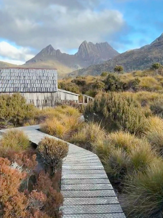 Immersed in Nature: My Scenic Adventure on the Dove Lake Circuit Walk