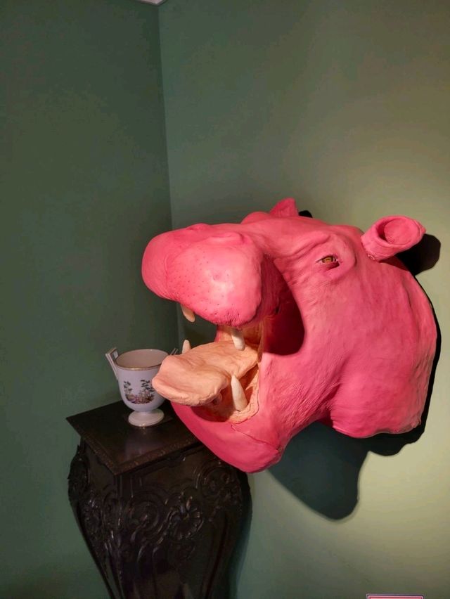 【神戸異人館　カラフルな世界観に魅力される】