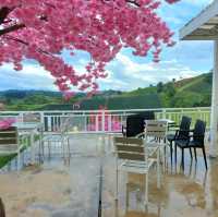 คาเฟ่ฟีลกู๊ด Hydrangea Cafe 