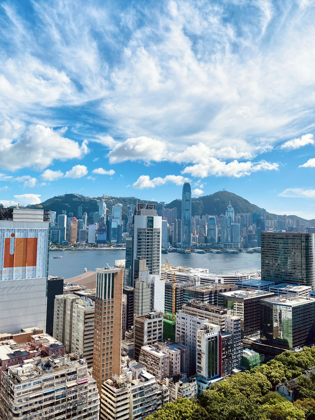酒吧🍹中菜🫖維港海景🏙️打卡📸混合體