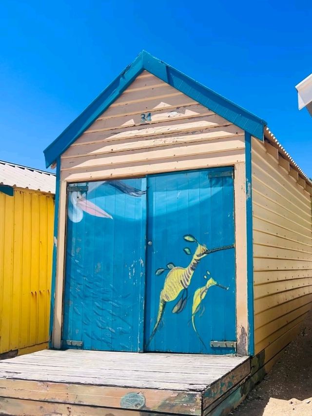 The Brighton Bathing Boxes in Melbourne