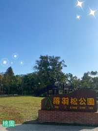 桃園 大溪 落羽松公園  秋冬轉瞬之美