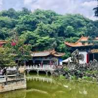 Kunming: The Destination You Didn't Know You Needed