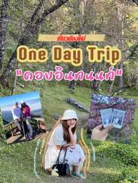 One day trip “ดอยอินทนนท์”✨