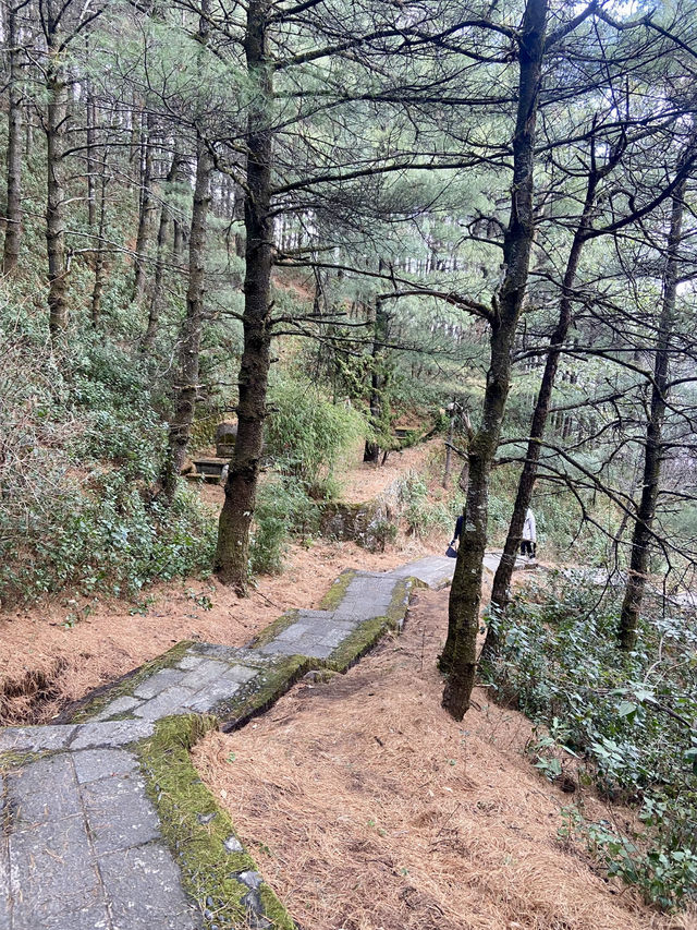 🏔️🥰大理蒼山 | 雲南的自然美景與徒步天堂👼🏻🚶🏼