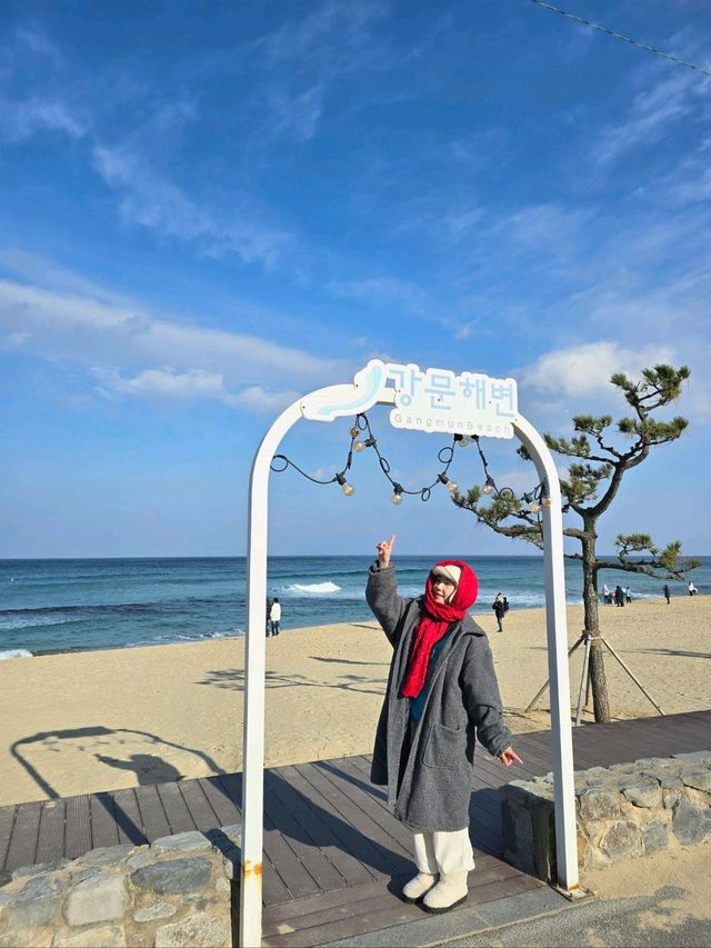 겨울바다의 아름다움이 가득한 강릉해변💙