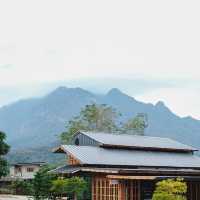 Glamp./Cafe ☕️⛰️คาเฟ่เชียงดาว, CNX